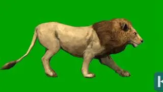 Lion Green screen No copyright sounds (ncs)