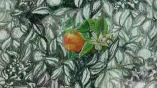 Dirk van Esbroeck & Juan Masondo - Naranjo en flor