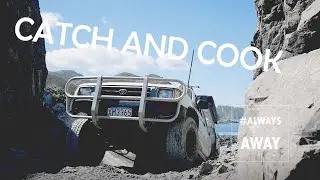 DRIVE AND DIVE | Heading out to catch Blue Moki on the Pole Spear