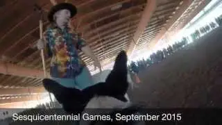 Sheepdog Trials at the Sesquicentennial Games