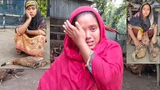 সর্বনাশা ভাদ্র মাস। মনিকার হাঁস কোন রোগে আক্রান্ত হলো। 