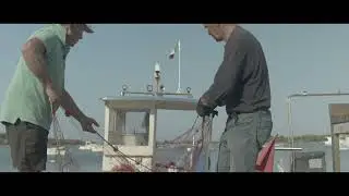 La pesca costiera in Terra d’Arneo