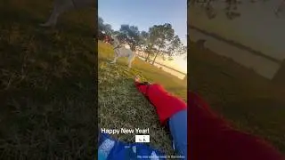 Out-of-control dog walking session #dog #funny #funnyvideos #dogsoftiktok #fyp #funnyvideo
