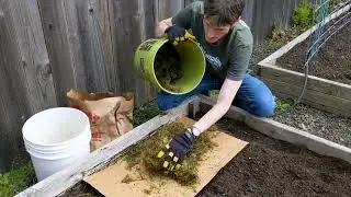 Gardening Tips: Lasagna Composting