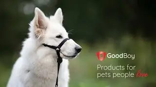 GoodBoy Dog Head Collar Prevents Pulling - Soft & Comfortable.