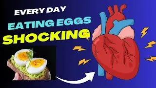 Shocking! Eating Eggs Every Day and Heart Disease