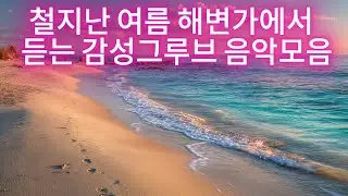 여름 바닷가에서 들으면 좋은 감성그루브 음악 모음 | Summer Seaside Groove Playlist #감성그루브 #여름플레이리스트 #드라이브음악 #카페브금 #여행음악