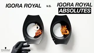 Comparing Igora Hair Products | IGORA ROYAL ABSOLUTES vs. IGORA ROYAL: Is there a difference?