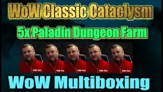 WoW Multiboxing 5x Paladin Trinity Setup:  Tank DPS Heal ✨🤖 WoW Classic Cataclysm | WoW Gold Guide