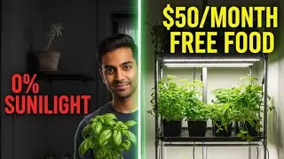 The 10-Square-Foot Farm: Micro-Gardening for Tiny (and Dark) Apartments