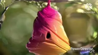 Effects sponsored by preview effects
