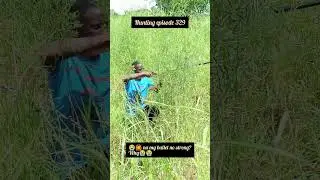 hunting episode #comedy #animallife #funny #funnyanimals #funnycreatures #wildlife #funnypets
