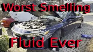 CVT Transmission Fluid Change | Easy DIY Method | 2019 Honda Accord