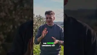 Humusgehalt im Boden messen  Einfach & Pr&auml;zise erkl&auml;rt!