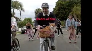 laceleaf- shades of blue (official music video)