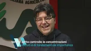 Perch&eacute; porre attenzione ai nitrati?