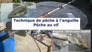 Comment et avec quoi pêcher l'anguille (tuto n°2 - pêche au vif)