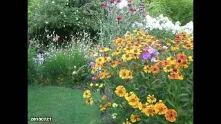 Garden from West. CLICK gear icon & set Quality to 1080p HD, otherwise blurry.