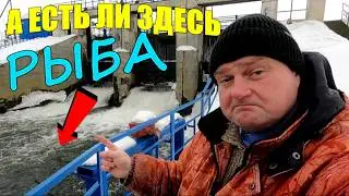 I arrived at the DAM with an underwater CAMERA... And I couldn't believe my eyes!!!