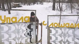 Упала с лошади. Традиция конного спорта. Приложение определения птиц по голосу Merlin Bird. Дятлы.