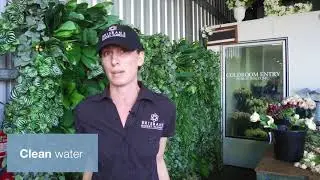 Rocklea | Want The Best Fresh Flowers? You Don&rsquo;t Have To Go Far!