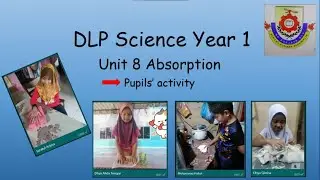 DLP Science Year 1 Unit 8 Absorption