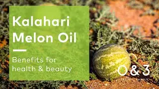 Kalahari Melon Seed Oil benefits for skin and hair