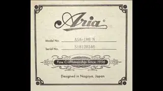 Гитара Aria ASA 18H N - Матушка земля