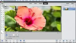 Photoshop Elements Tutorial - Using the Refine Selection brush