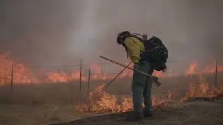 The Fire Poppy (Ep. 2 Prescribed Burns)