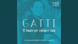 Sonata No. 2 in D Major: I. Andante