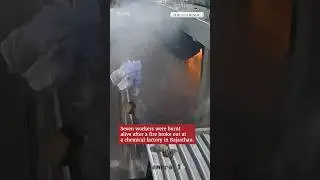 7 workers killed in chemical factory fire in Rajasthan's Bhiwadi