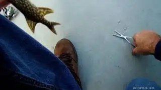 Joe&rsquo;s flies in the canal off the Indian River, northern Michigan, cheboygan county