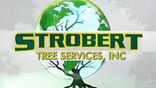 Tree Removal Concord PA - 610-364-5116 - Strobert Tree Inc