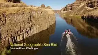 Palouse River's Stark Landscape