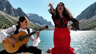 You’ll Replay This Flamenco Fusion Again and Again | Flamenco Guitar
