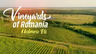 Vineyards of Romania - Halmeu-Vii