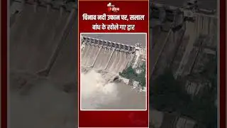 Salal Dam Gates Opened: चिनाब नदी उफान पर, सलाल बांध के खोले गए द्वार | Chenab River | Reasi Flood