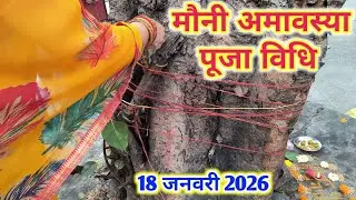  मौनी अमावस्या पूजा विधि 2026 | साल की सबसे बड़ी/पहली अमावस्या मौनी अमावस्या पर पूजा कैसे करें |