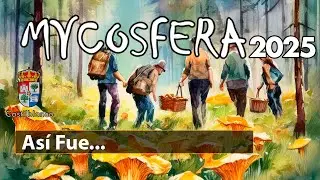Así Fue Mycosfera 2025