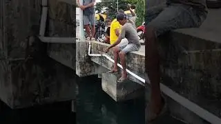 Resiko Mancing di Dermaga Kapal Yang Bikin Kesal #shorts #shortvideo #short #shortsvideo