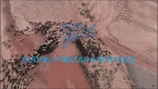 spot drone quad &eacute;v&egrave;nement