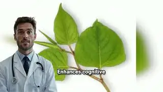 Advanced Mitochondrial Formula &ndash; Boost Your Energy at the Cellular Level
