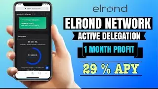 Elrond Network ACTIVE Delegation Profit for 1 Month | 29% APY interest PAID daily | Review