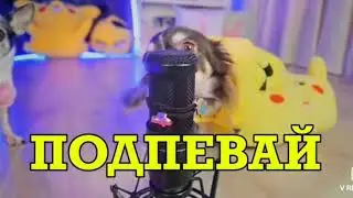 ПЕСНЯ ПОДПЕВАЙ МНЕ ОРИГИНАЛ MAGIC FAMILY