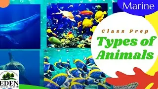 Class Prep | Land, Water and Air Animals | Eden Distance Learning