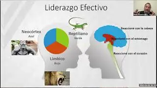 Liderazgo, evaluaci&oacute;n y control como elementos de rendici&oacute;n de cuentas