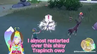 Found a Shiny Trapinch!