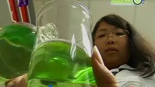 MyGreenOil   Documentary TV1 IKS