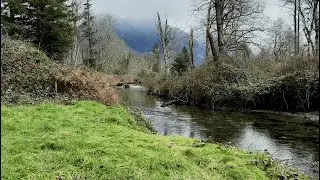 Mountain Creek Sounds for Sleep | Relaxing Nature Ambience (4 Hours)